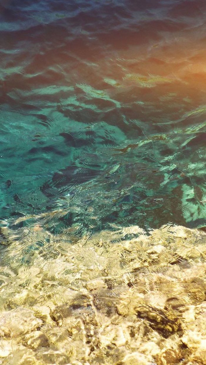 Фото подборка (58 фото)