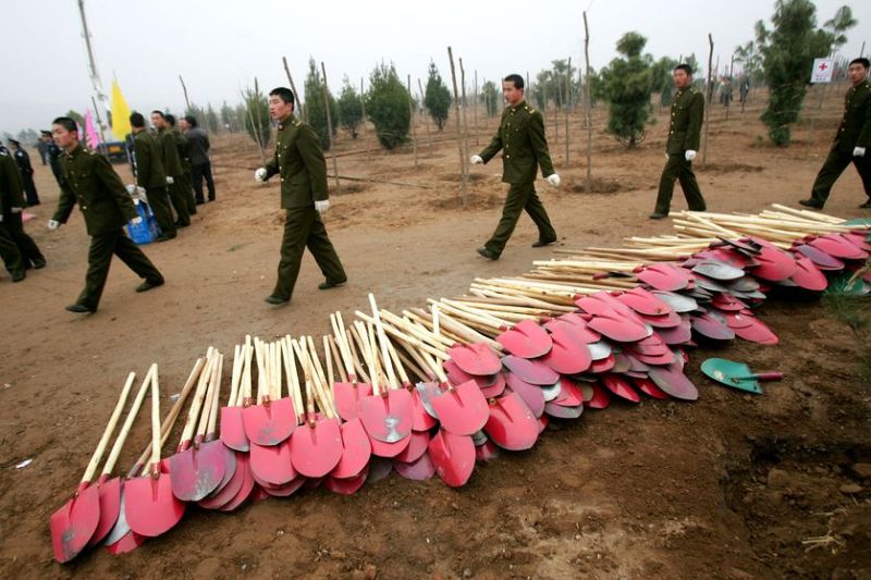 В Китае 60 тысяч солдат отправят сажать деревья