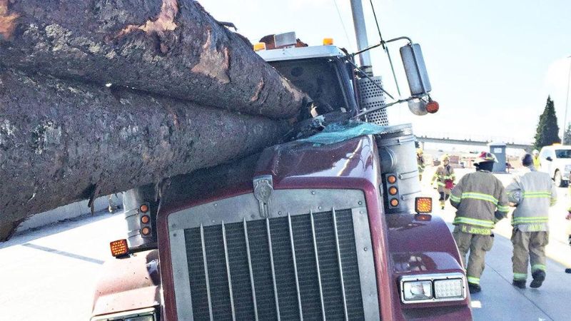 Авария на дороге с участием двух лесовозов