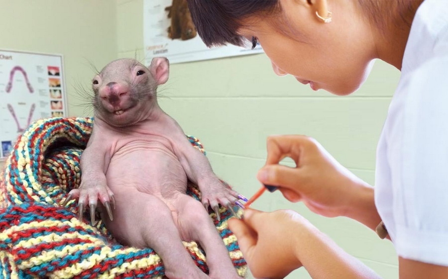 Интересная ФОТОПОДБОРКА (40 фото)