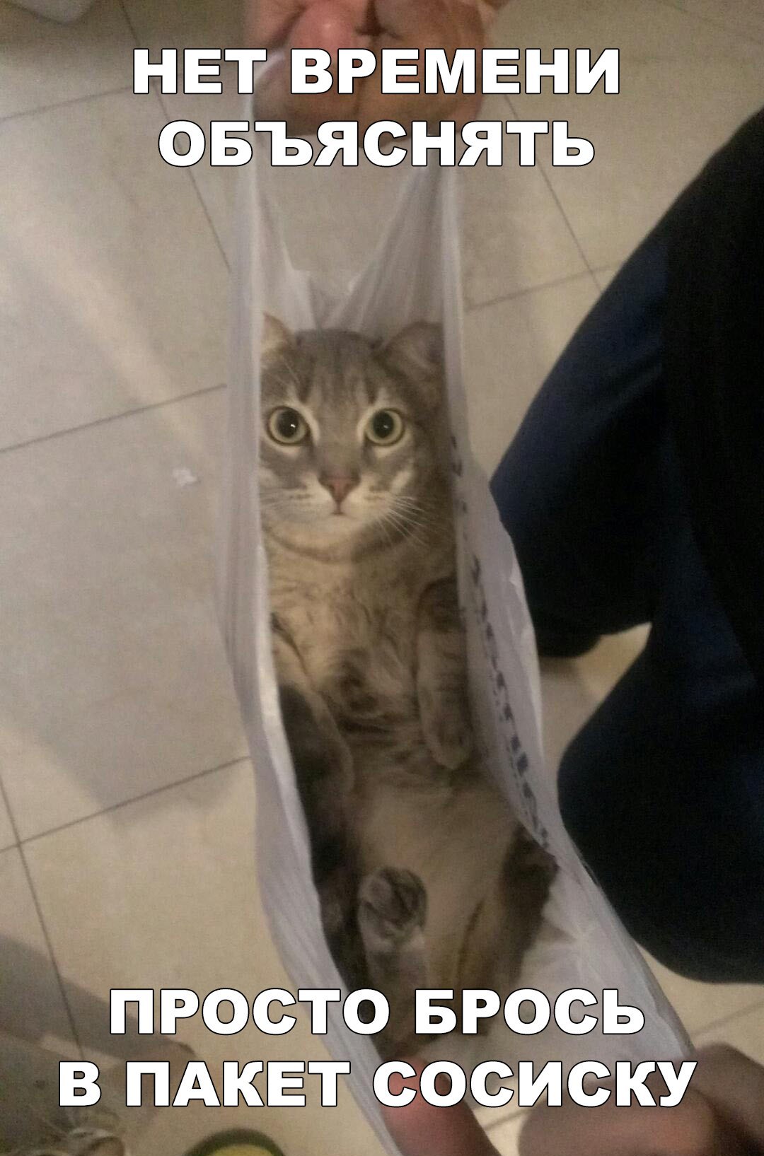 Фото приколы (47 фото)