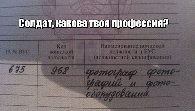 Фото Приколы (41 фото)