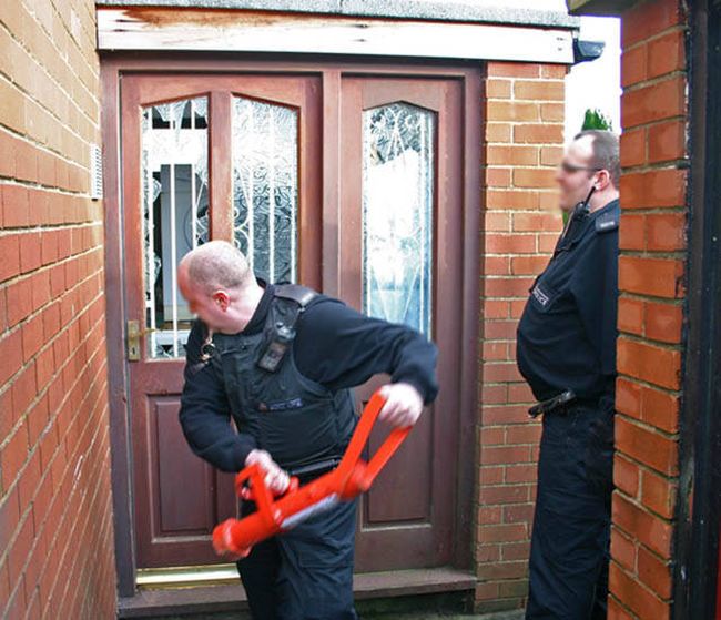 Соседи унюхали ферму по выращиванию марихуаны (9 фото)