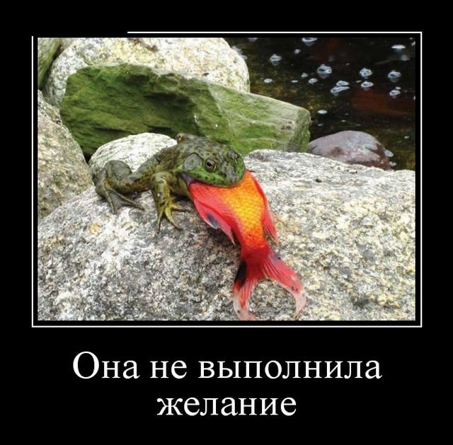 Демотиваторы СРОЧНЫЙ ВЫПУСК (26 фото)