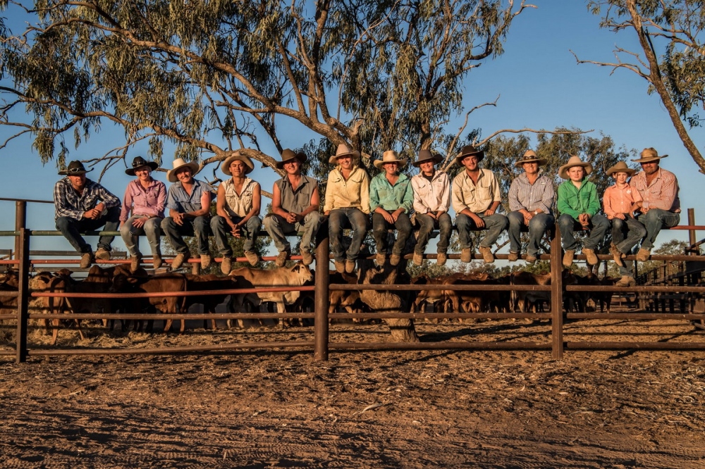 Фермеры в Австралии (20 фото)