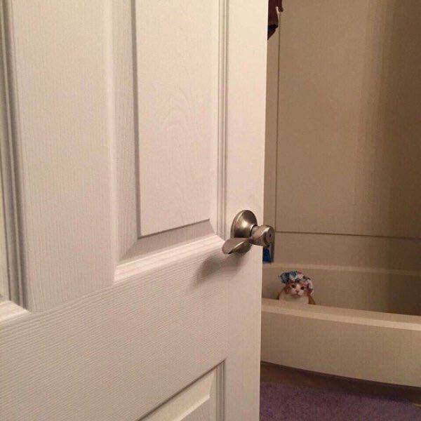 Удивительная Подборка (46 фото)