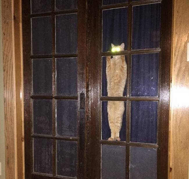 Ужасающие ПРИКОЛЬНЫЕ фото #2 (10 фото)