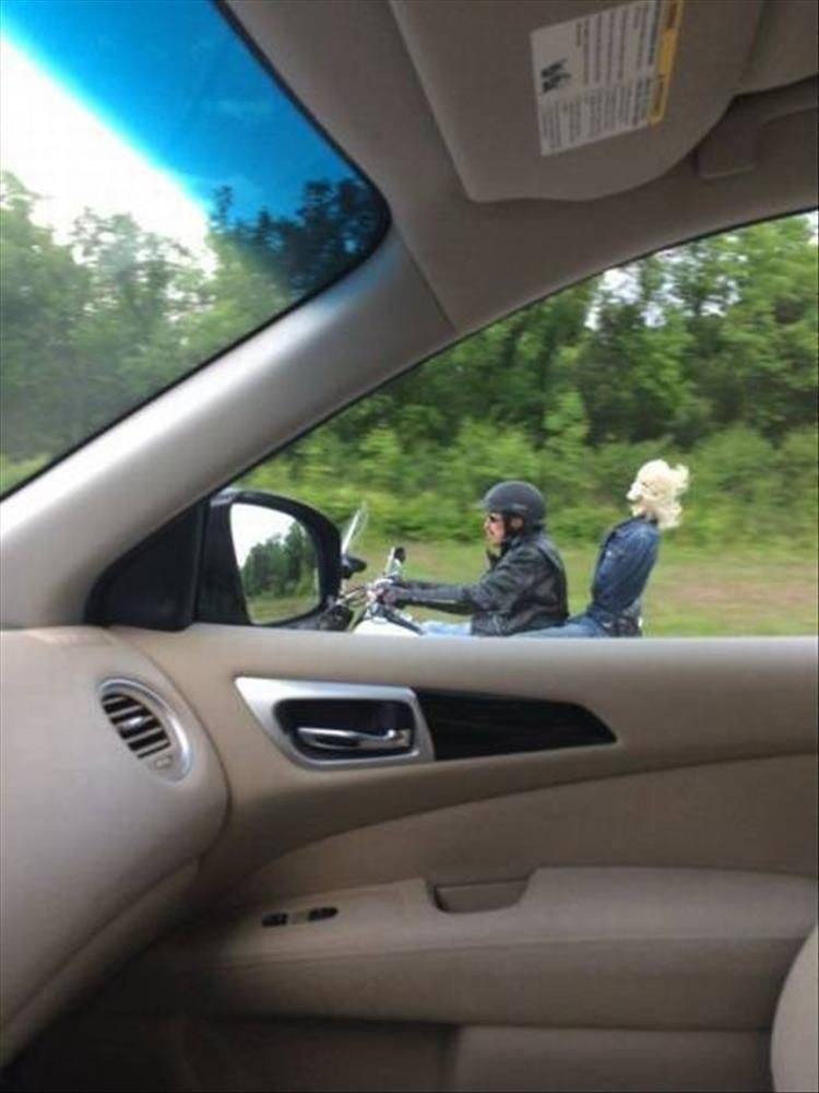 Подборка прикольных фото #4 (11 фото)