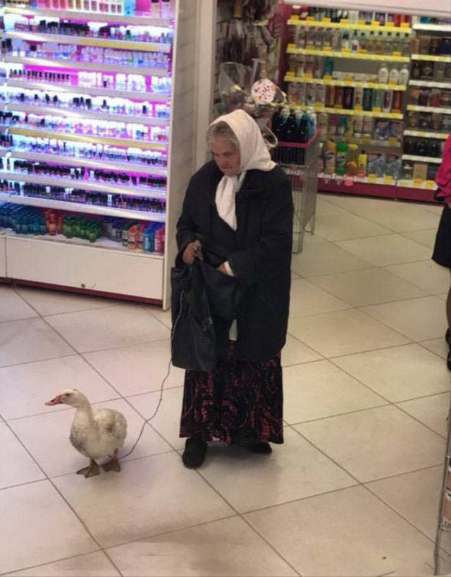 Приколы России #3 (20 фото)