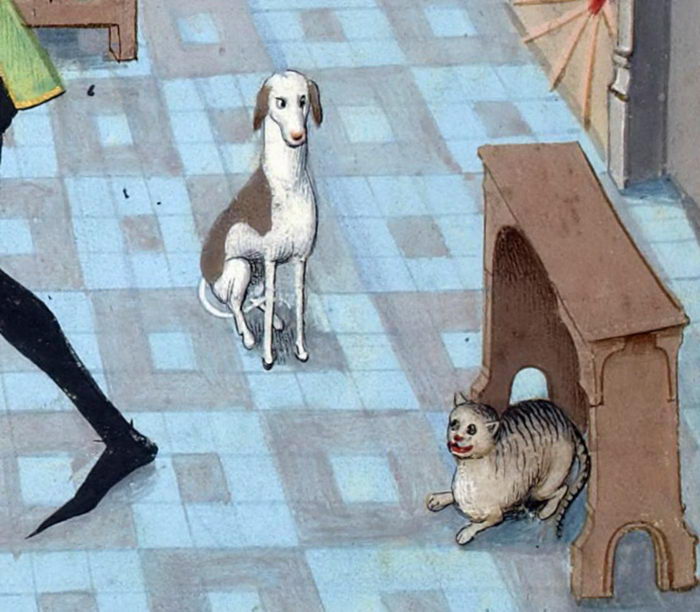 Как выглядели кошки на средневековых гравюрах (20 фото)