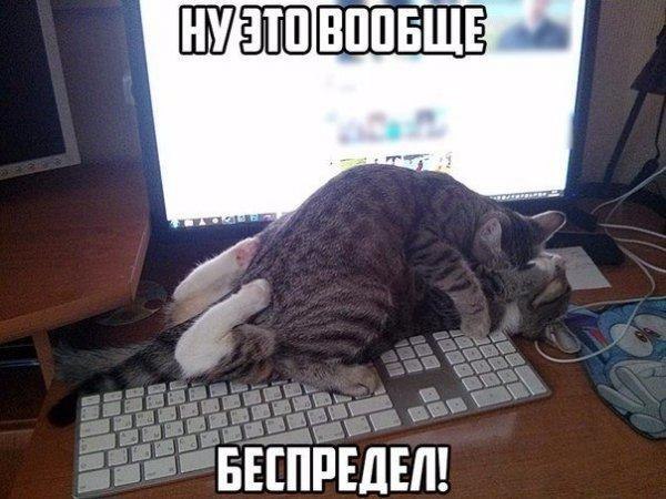 Приколы Юмор #4 (11 фото)