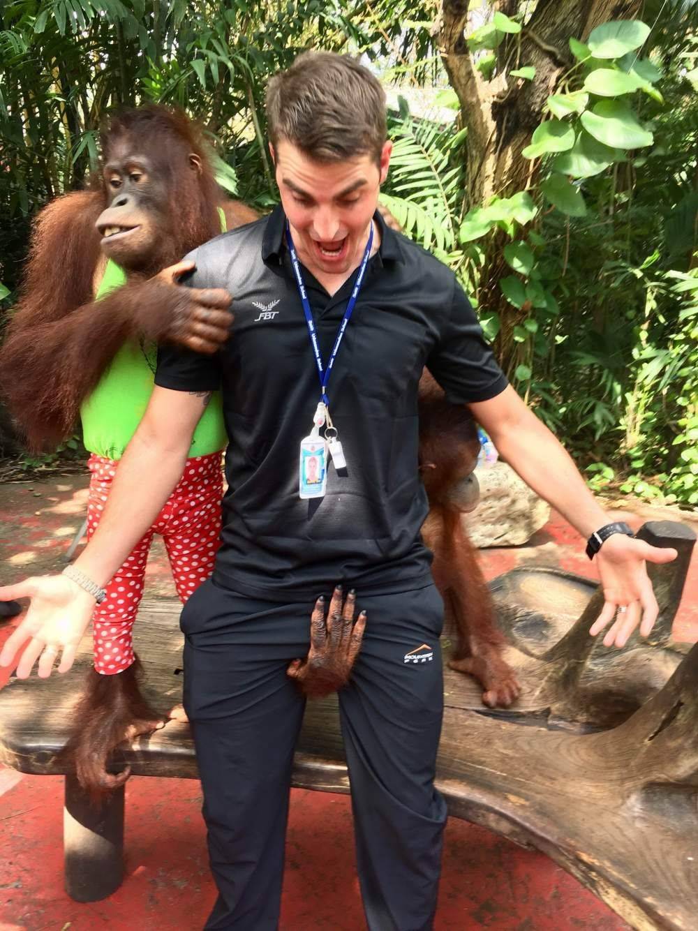 Фото Приколы (21 фото)