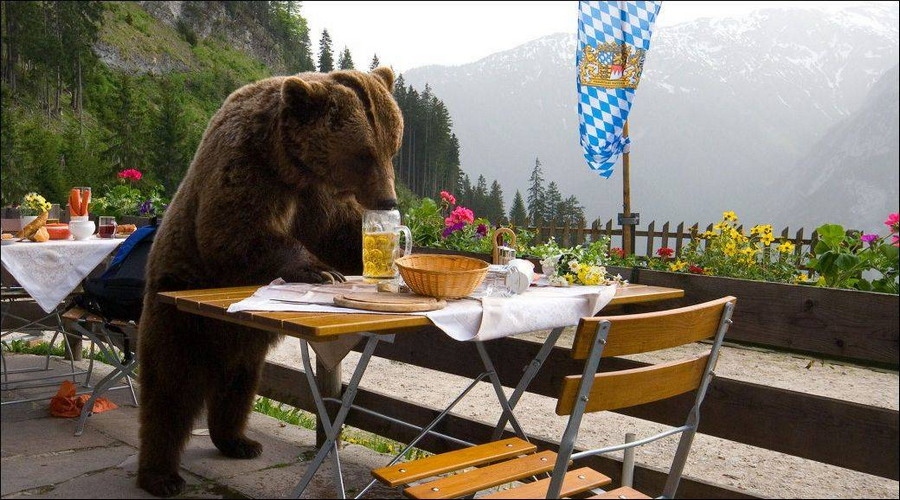 Фото подборка интересного (40 фото)