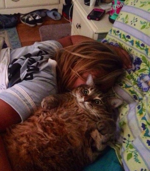 Прикольные фото