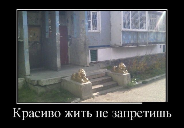 Демотиваторы