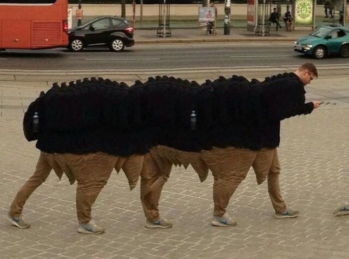 Забавные Панорамные Фото