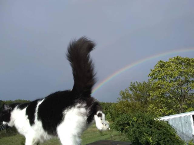 Подборка прикольных фотографий (46 фото)