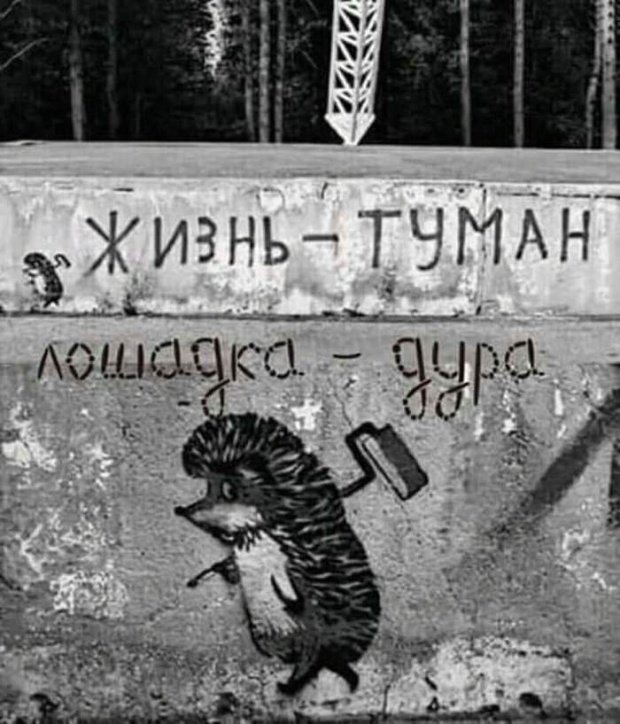 Фото Подборка дня #3 (37 фото)