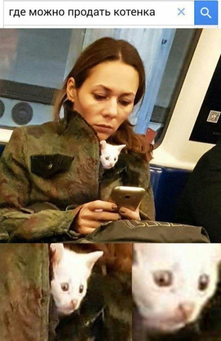 Фото ПРИКОЛЫ (35 фото)