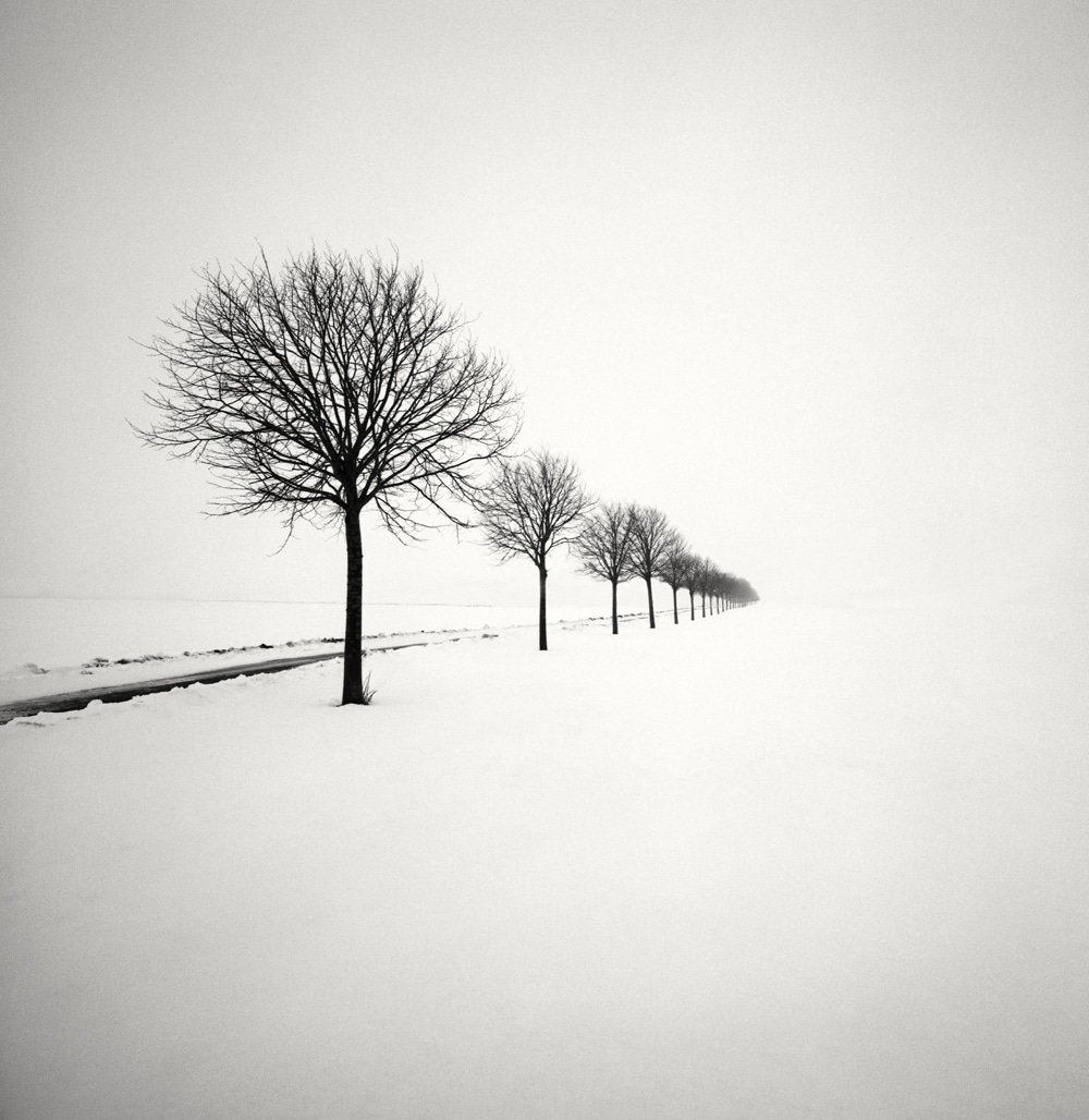 Зимние пейзажи Хокана Странда (20 фото)