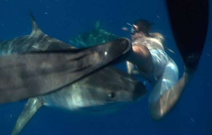 БОЛЬШАЯ ПОДБОРКА ПРИКОЛЬНЫХ ФОТО (76 фото)