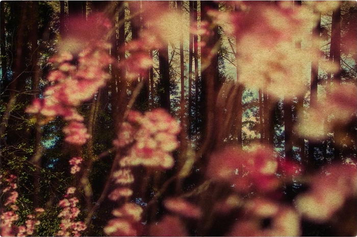 Абстрактные фотографии Angel Albarran и Anna Cabrera