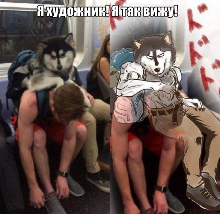 Смешные Картинки ЮМОР (29 фото)