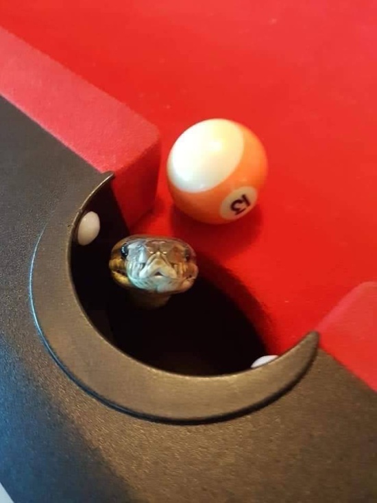 Фото Приколы (50 фото)