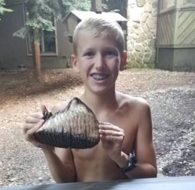 12-летний мальчик нашел возле ручья зуб мамонта