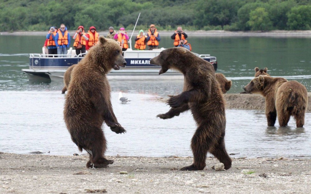 Подборка Прикольные Фото Дня (40 фото) 10-12-2019