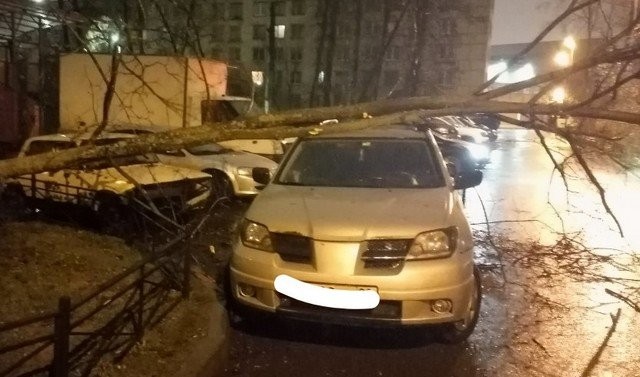 Последствия штормового ветра в Петербурге 18-19 декабрь 2019
