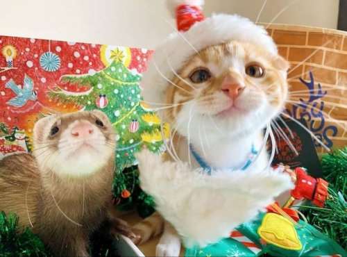 Юмор (23 фото)