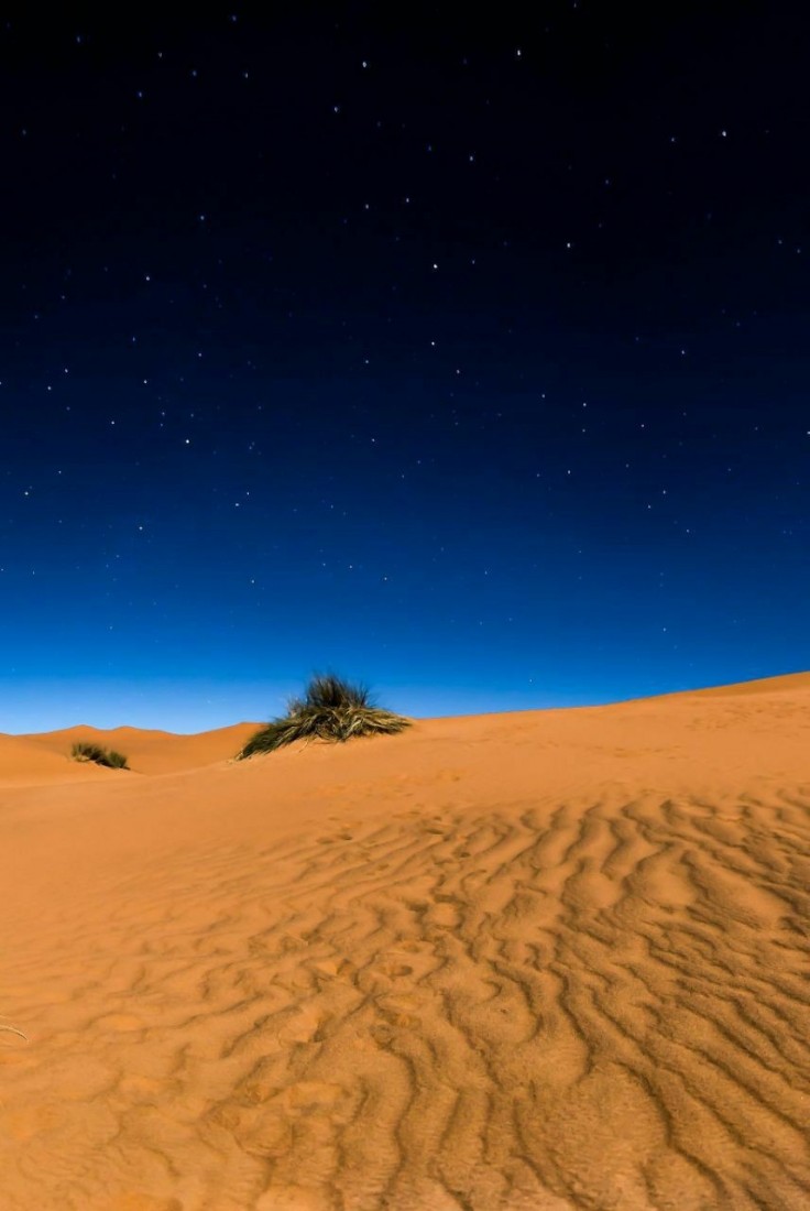 Фото Подборка Дня (50 фото) 23-01-2020