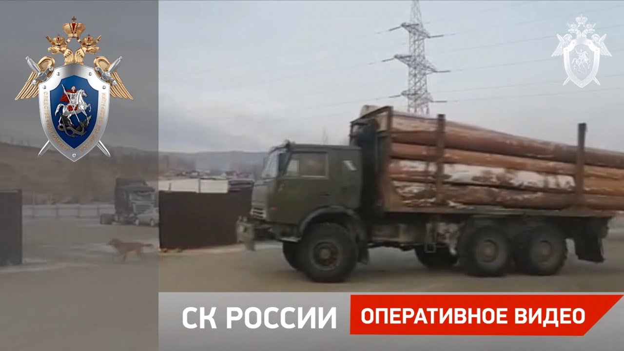 Незаконная рубка лесных насаждений в Иркутской области