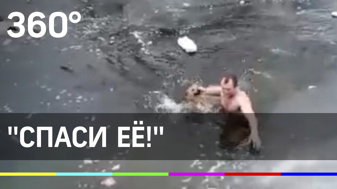 Астраханец спас собаку из ледяной воды
