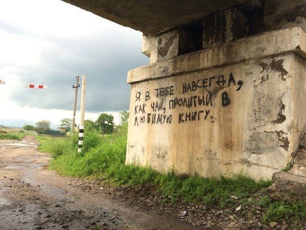 Фото Подборка Дня (55 фото) 7-02-2020