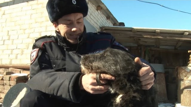 В Ставропольском крае участковый задержал мужчину, выстрелившего из ружья в собаку