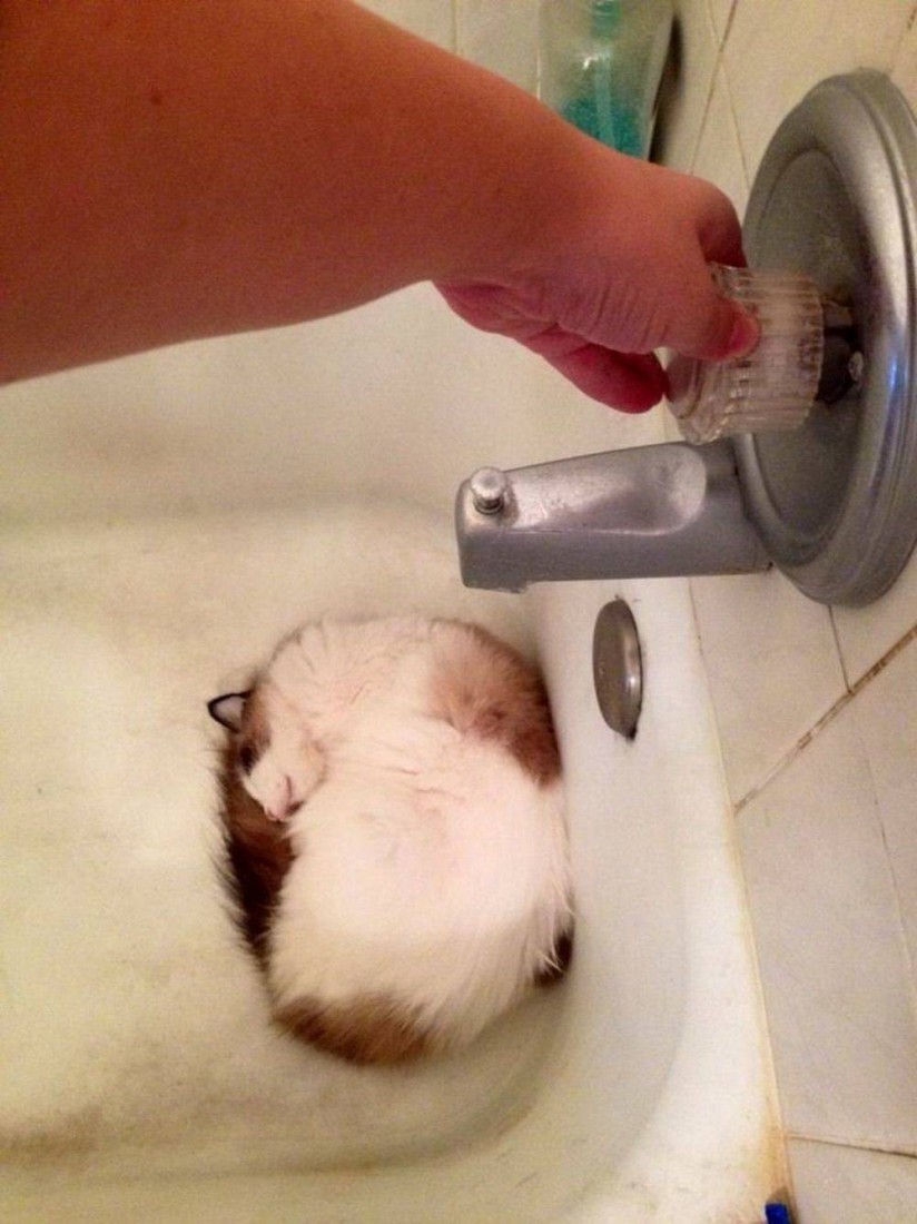 Фото Подборка Дня (47 фото) 6-03-2020