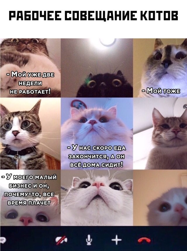 Прикольные Фото Юмор (69 фото)