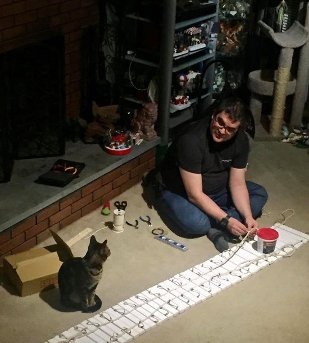 Американец построил в собственном доме город для кошек (8 фото)