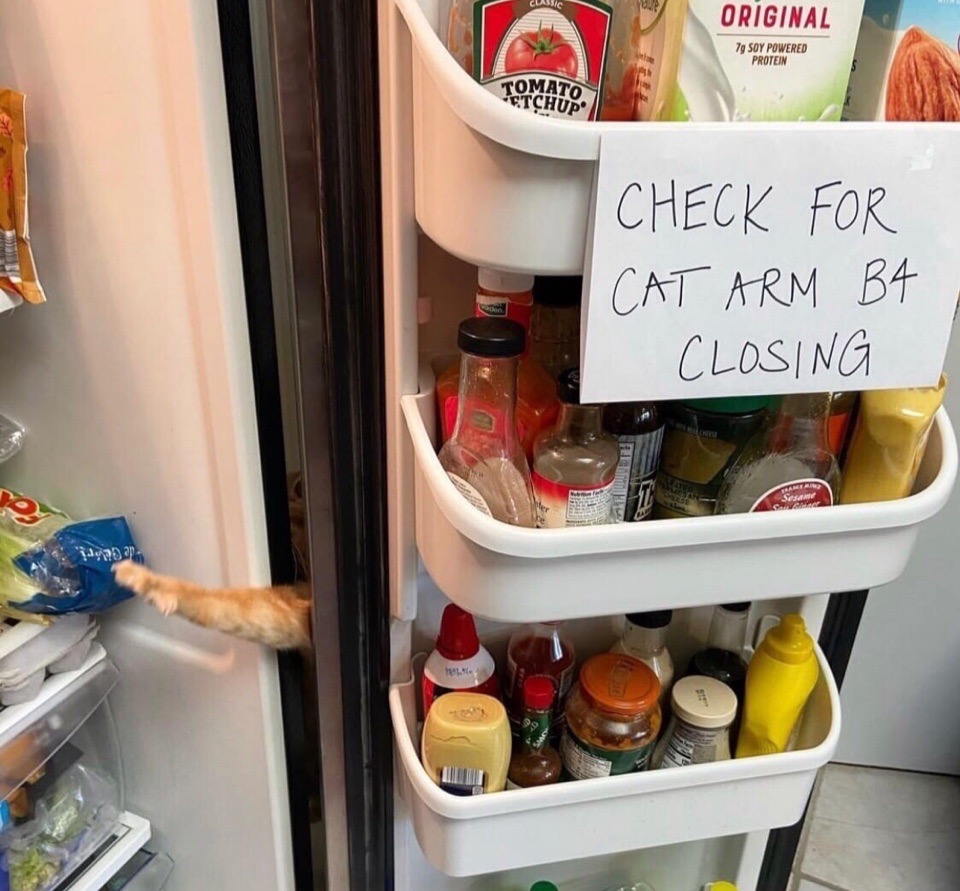 ФОТО ПОДБОРКА (55 фото) 9-05-2020