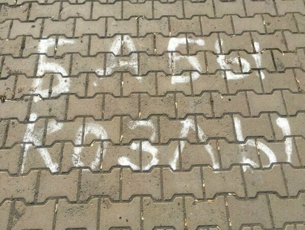 СМОТРЕТЬ ФОТО ПОДБОРКУ ДНЯ (50 ФОТО)