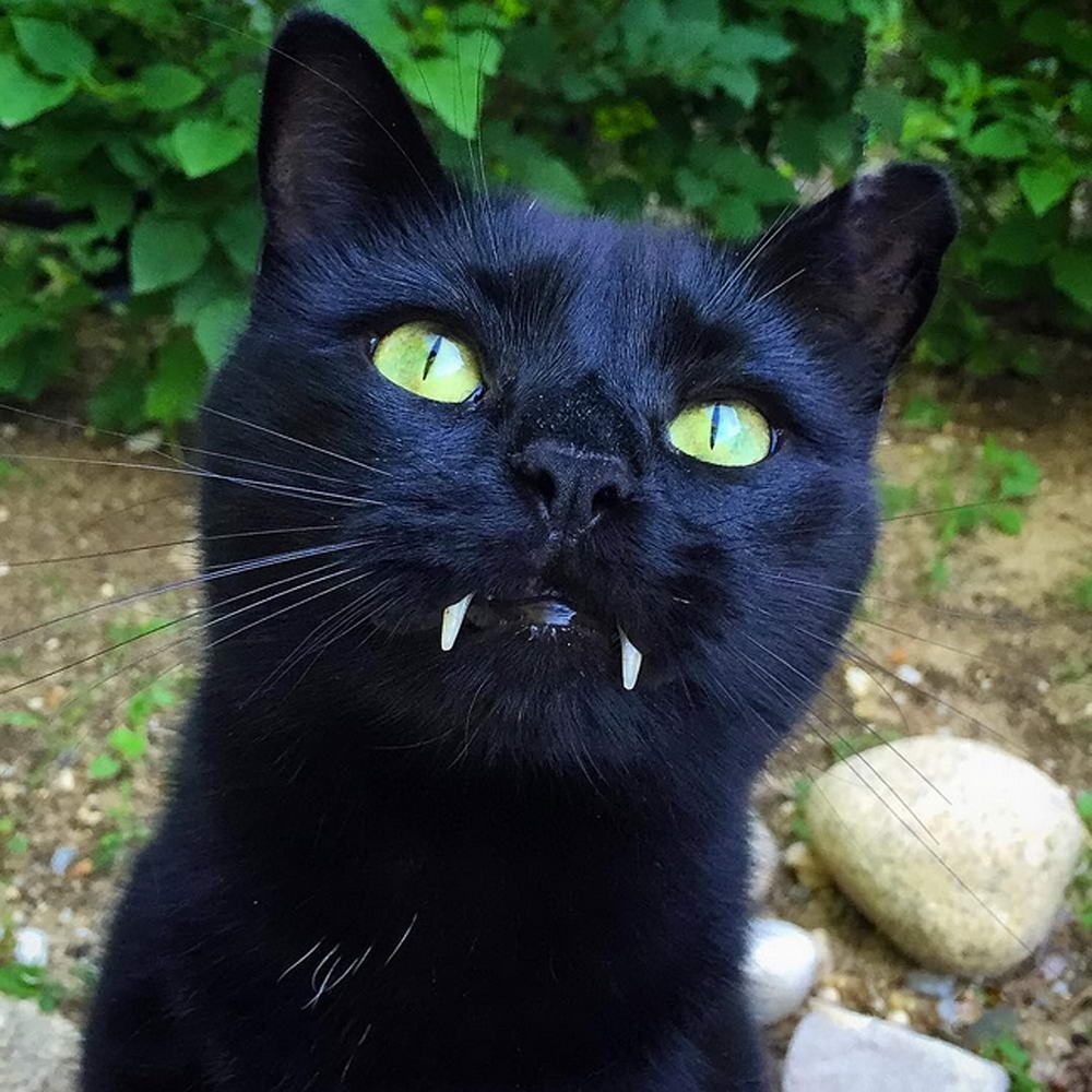 Всякий ЮМОР (27 фото)