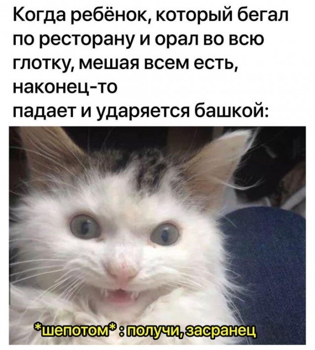 ЮМОР СМЕШНЫЕ КАРТИНКИ С ЮМОРОМ (25 ФОТО)