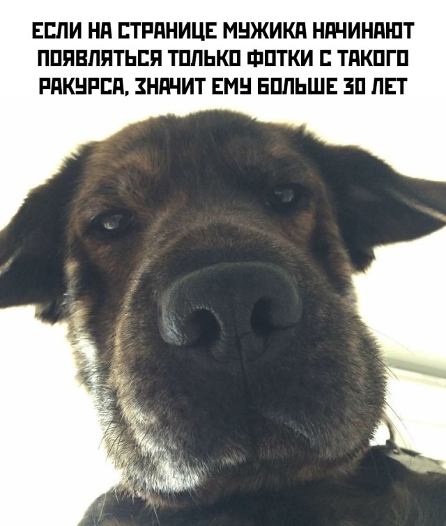 ЮМОР ШУТКИ ФОТО ПРИКОЛЫ ЛЕЖАТЬ СМЕЯТЬСЯ (41 ФОТО)