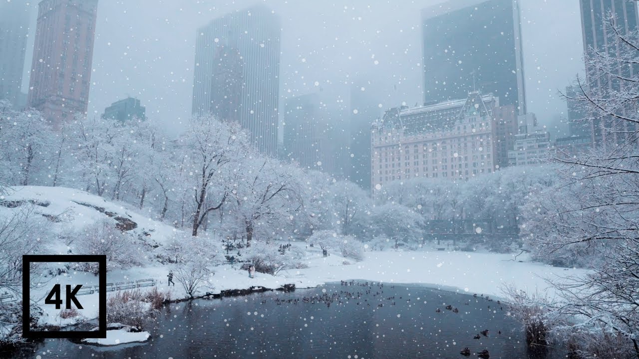 Снегопад в Центральном парке Нью-Йорка | Прогулка по Центральному парку под зимним снегом